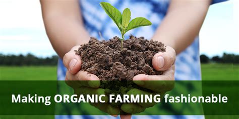 Making organic farming fashionable | Kisan Agro