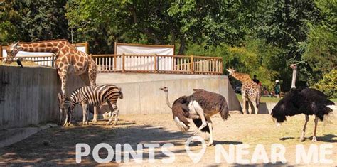 ZOO NEAR ME - Points Near Me