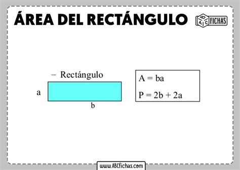 Como Se Calcula El Area De Un Rectangulo - Image to u