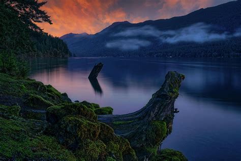 Lake Crescent 2 Photograph by Thomas Hall - Fine Art America