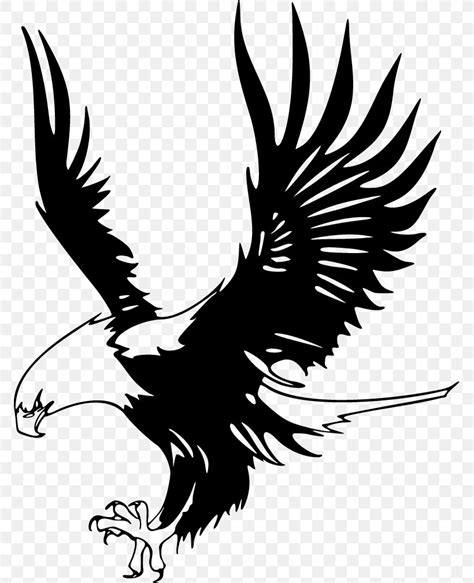 Bald Eagle Just Eagles Black-and-white Hawk-eagle Clip Art, PNG ...