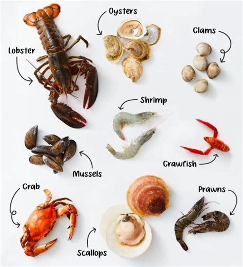 SHELLFISH | Boston Wholesale