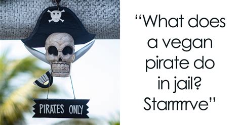 116 Pirate Puns That Arrrgh Pretty Hilarious | Bored Panda