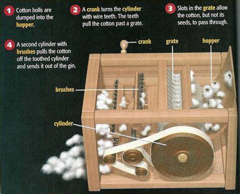 Diagram Of The Cotton Gin