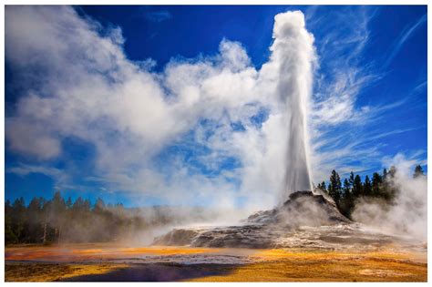 National Parks: Yellowstone versus Glacier