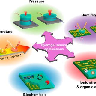 (PDF) Hydrogel-Based Sensor Networks: Compositions, Properties, and ...