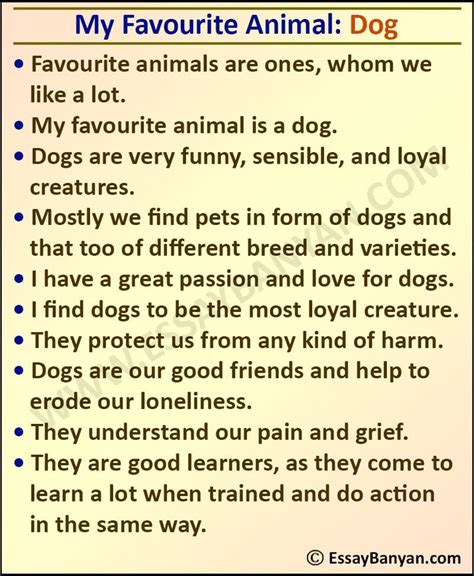 Essay on My Favourite Animal (2022)