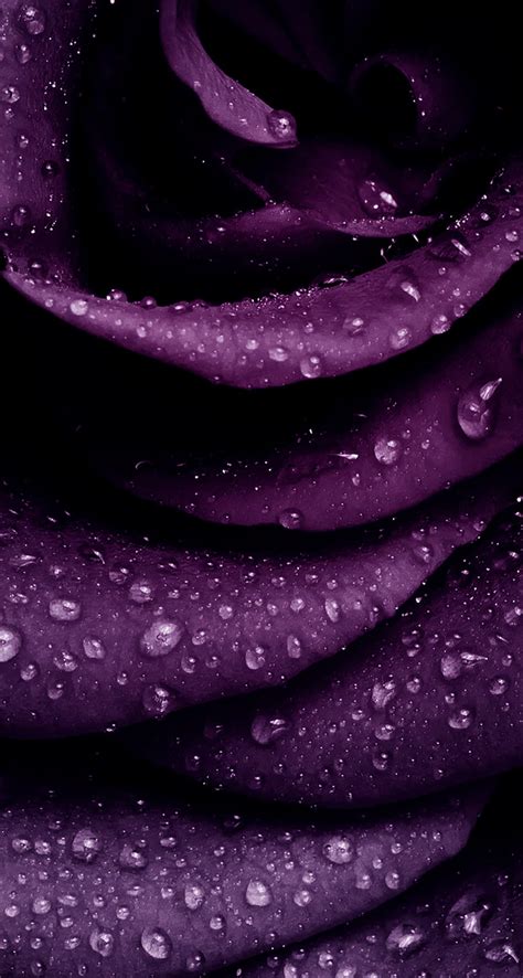 Details 68+ purple iphone 14 pro max wallpaper latest - in.cdgdbentre