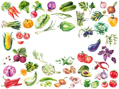 watercolor-vegetables - Gardens That Matter