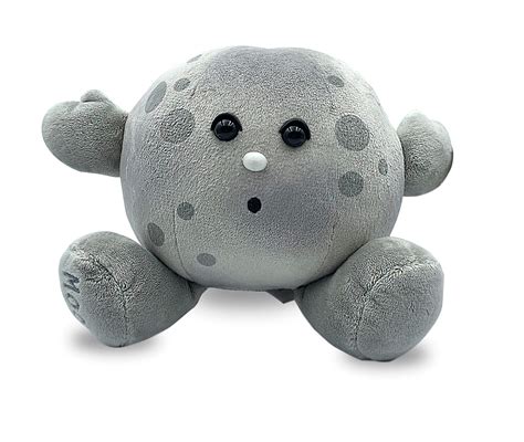 Buy Celestial Buddies Moon Buddy Learning Science Eclipse Astronomy ...