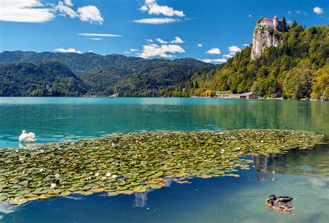 30 Beautiful Lake Bled Photos To Inspire You To Visit Slovenia