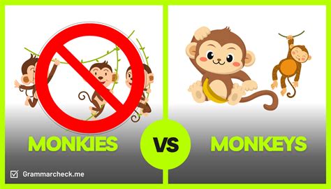 Monkies or Monkeys? Which Is Correct?