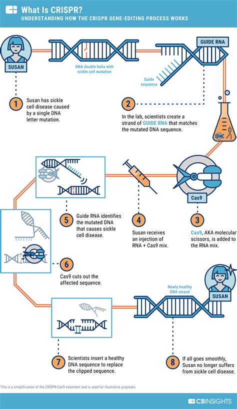 Crispr Cas9 Simple