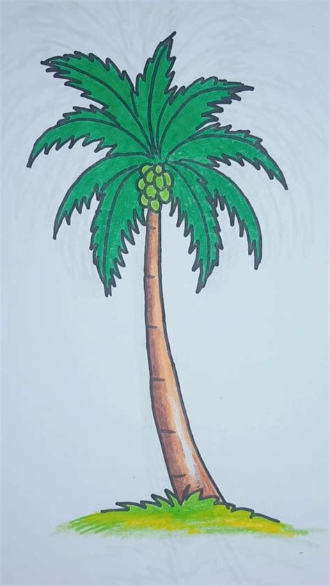 Coconut Tree Drawing