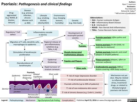 Psoriasis: Pathogenesis and clinical findings | Calgary Guide