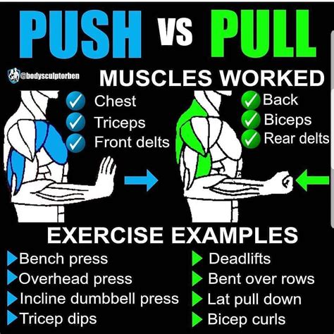 8 Powerful Muscle Building Gym Training Splits - GymGuider.com | Push ...