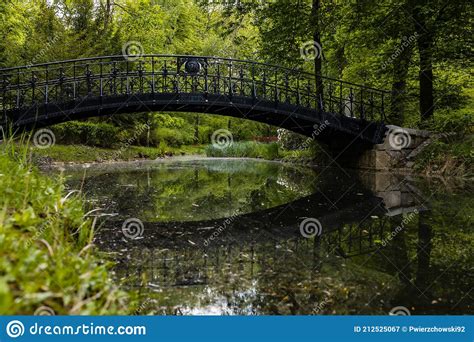 Silent Pond.Rare Picture Of Pond And Sky Together Stock Photo ...