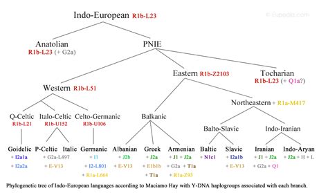 Armenian Language Tree