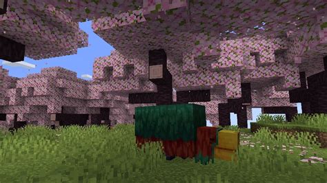 Minecraft Reveals Cherry Blossoms Biome & Wood Set Just in Time for ...