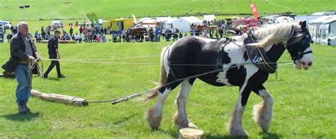 Small Woodland Owners' Group » Blog Archive » Horse-logging ...