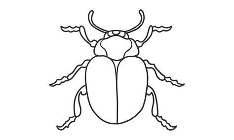 Vector lineart illustration of beetles on white background, hand drawn ...