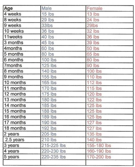 How Much should an English Mastiff Weigh (Growth Chart)?