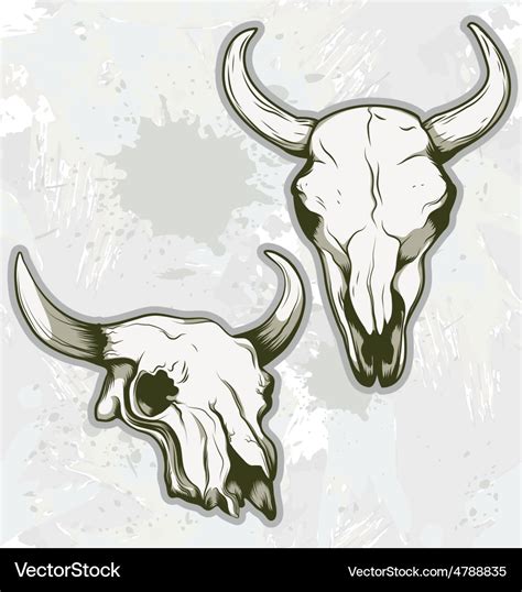 Bull skull Royalty Free Vector Image - VectorStock