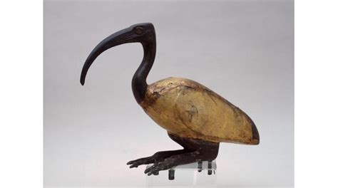 BBC - A History of the World - Object : Egyptian Ibis