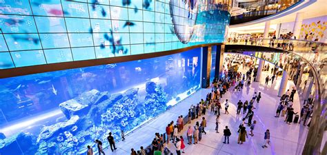 Dubai Aquarium And Underwater Zoo – The Dubai Mall – TRAVOH