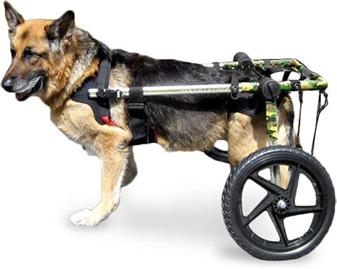 Walkin' Wheels Dog Wheelchair - for Large Dogs 70-180 Pounds ...