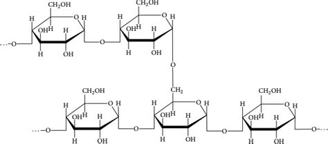 Structure of amylopectin [8]. | Download Scientific Diagram