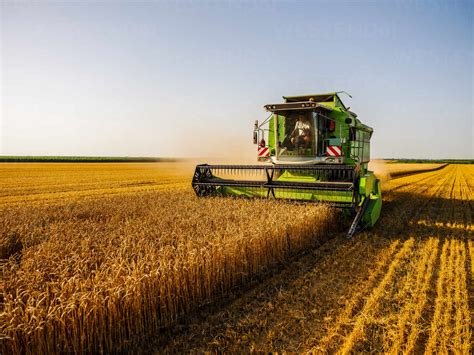 Combine harvesting field of wheat – Stockphoto