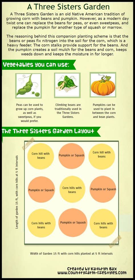 A New Twist on the Three Sisters Garden Layout, Planting Methods and ...