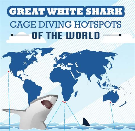 Great White Shark Hotspots of the World [Infographic]