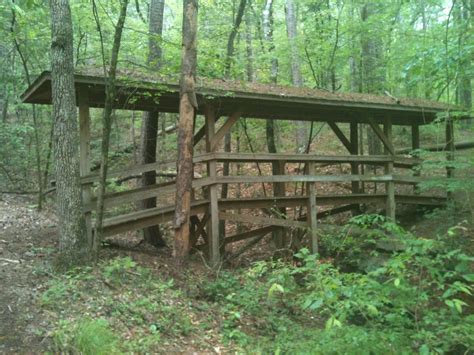 One Of the many hiking trails At Broken Bow Oklahoma | Camping spots ...