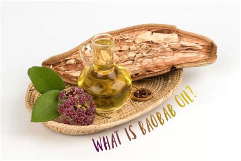 What Is Baobab Oil? - The Coconut Mama