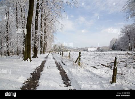 Path along field and forest in the snow in winter landscape in the ...