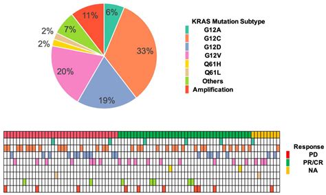 Clinical and Molecular Features of KRAS-Mutated Lung Cancer Patients ...