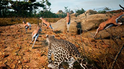 Jenis Jenis Peta Konsep Animalia Survival Discords - IMAGESEE