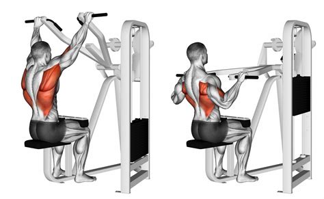 Narrow Grip Lat Pulldown