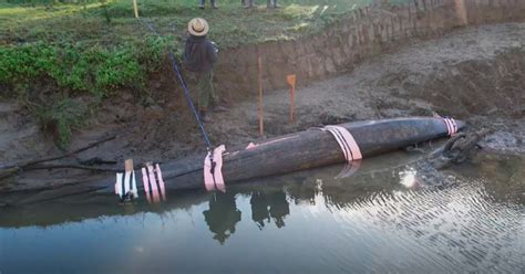 Delighted Maori Recover ‘Hidden’ Waka Canoe in New Zealand River ...