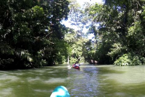 Amazon River Kayaking: Venture Into The Jungle - Expedition Cruise