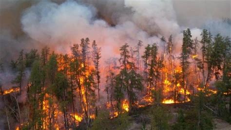 Le feu de forêt à Caddy Lake continue malgré la pluie | Radio-Canada