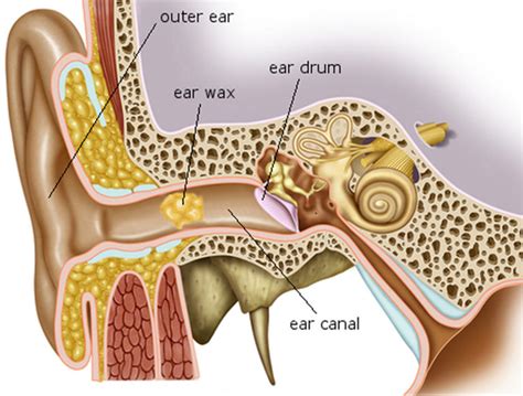 Ear Wax Blockage - Causes, Symptoms, How to Remove Ear Wax