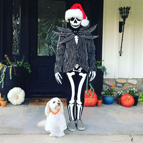 Jack Skellington and his dog Zero Costume Ideas, Costumes, Jack ...