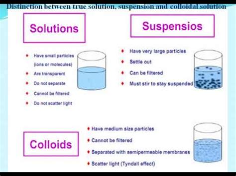 Colloids - YouTube