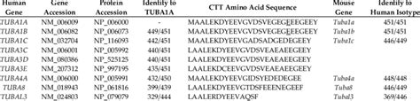 Isotypes of α-tubulin. | Download Table