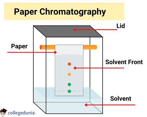 Paper Chromatography Diagram