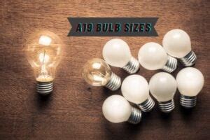 Typical A19 Light Bulb Sizes (Inches and CM) - Attainable Home