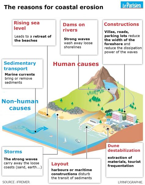 Coastal erosion - The Searial Cleaners